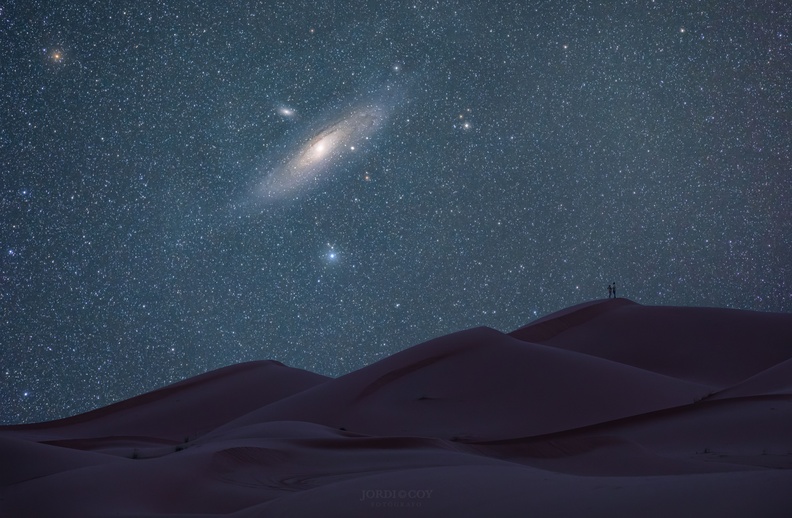 SaharaAndromeda Coy 6135